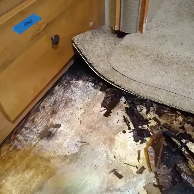 Wood Floor Water Damage in Forest Park, IL